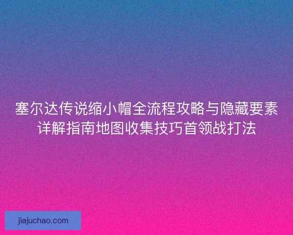 塞尔达传说缩小帽全流程攻略与隐藏要素详解指南地图收集技巧首领战打法